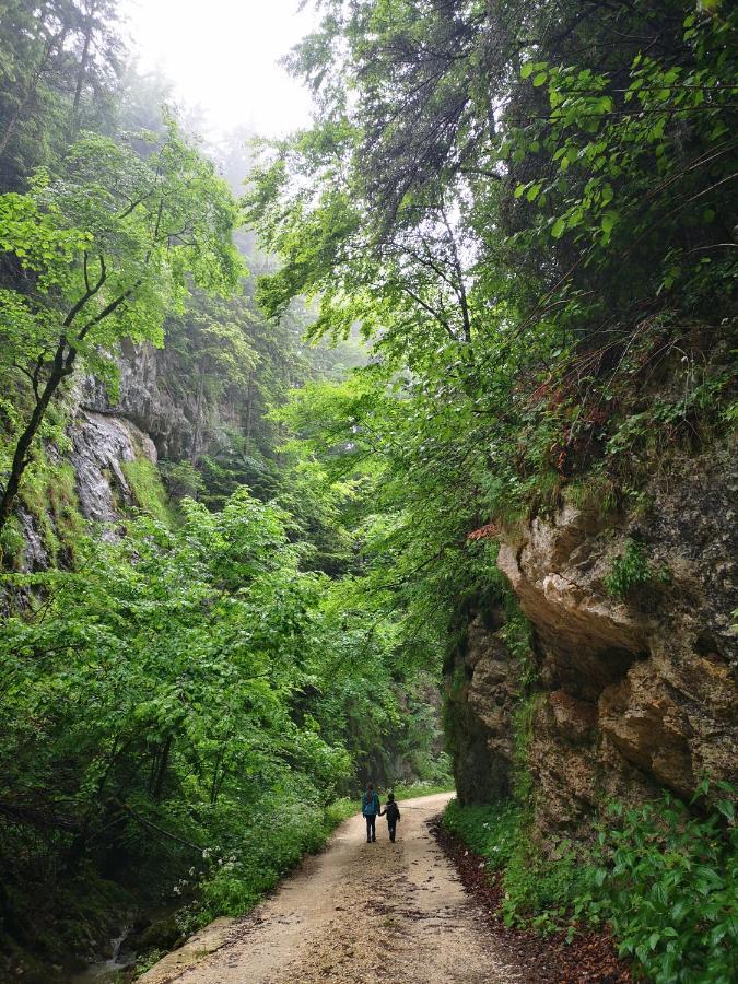 Mountain Lodge Рышнов Экстерьер фото