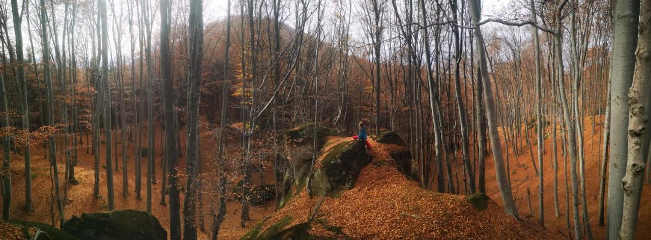 Mountain Lodge Рышнов Экстерьер фото