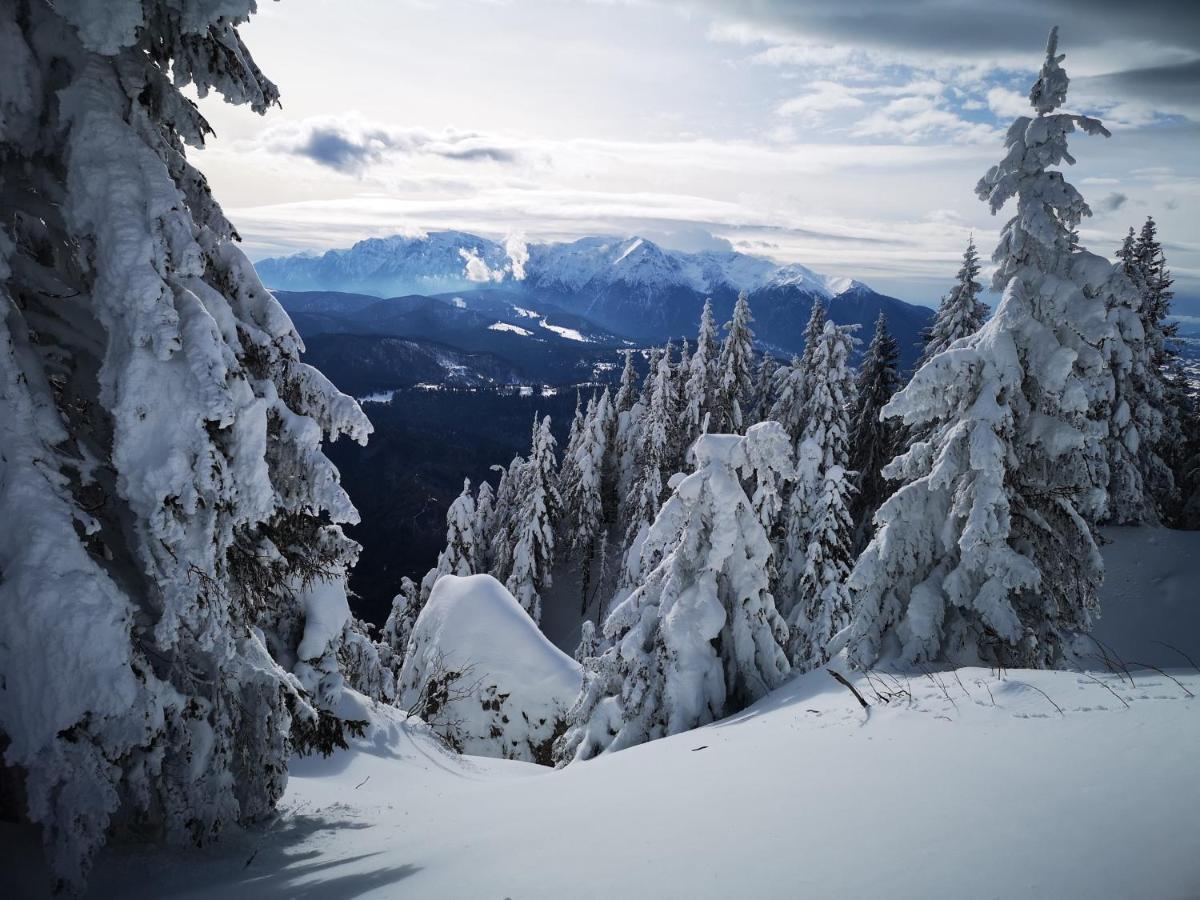 Mountain Lodge Рышнов Экстерьер фото